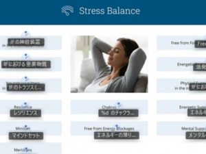 ストレスバランス